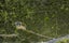 254 Tauranga Bay Road, Kaeo - Carousel 17
