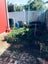 222 Adelaide Road, Newtown, Wellington - Carousel 12