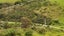 153 Taemaro Road, Hihi, Mangonui - Carousel 17