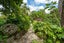 189 Waikino Road, Karetu, Kawakawa - Carousel 19