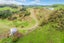 925 Ngaroma Road, Wharepuhunga, Te Awamutu - Carousel 25