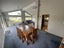 12 Buxton Avenue, Karori, Wellington - Carousel 5