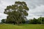 1555 Parnassus Road, Ferniehurst, Cheviot - Carousel 25