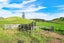 533 Pataua South Road, Onerahi - Carousel 19