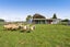 51 Sole Road, Ngaere, Stratford - Carousel 33