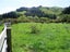 5591 Masterton Castlepoint Road, Masterton - Carousel 7