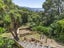 10 Dorking Road, Brooklyn, Wellington - Carousel 17
