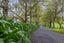 186 Flume Road, Te Miro, Cambridge - Carousel 30