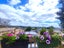 88 Mili Way South, Ranui, Auckland - Carousel 2