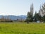 35 Orchard Road, Greytown, Greytown - Carousel 6