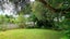431 Don Buck Road, Massey, Auckland - Carousel 40