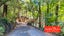 271 Huia Road, Titirangi, Auckland - Carousel 1