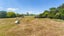 1715 Miranda Road, Pokeno - Carousel 31