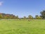 514 Arapaepae Road, OHAU, LEVIN - Carousel 17