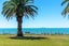 5/23 The Strand, Waiheke Island, Auckland - Carousel 32