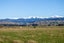 0 Opaki Kaiparoro Road, Kopuaranga, Masterton - Carousel 7