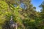 35 Sunglo Terrace, Otaki - Carousel 29