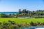 194 Potts Road, Howick - Carousel 19
