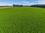 0 Rakaia Highway, Allenton, Ashburton - Carousel 2