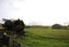 118 Old Port Road, Warepa - Carousel 6