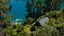 0 Bay Of Many Coves, Bay Of Many Coves, MARLBOROUGH SOUNDS - Carousel 22