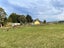 870 Lawrence Waitahuna Highway, Waitahuna, Lawrence - Carousel 5