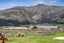 46 Paterson Drive, Hawea Flat, Wanaka - Carousel 24
