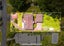 53 The Terrace, Herald Island, Auckland - Carousel 23