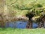 12 Onaero Beach Road, Onaero, Urenui - Carousel 3