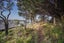 15 Pegasus Crescent, Motunau, Greta Valley - Carousel 19