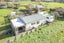 238 Finnerty Road, Ngaere, Stratford - Carousel 29