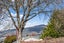3 Gair Avenue, Cromwell, Cromwell - Carousel 22