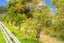 14 Ti Kouka Way, Kaiwaka, Kaiwaka - Carousel 49