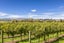 1114 Omihi Road, Omihi, Amberley - Carousel 31