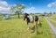 29 Wharepuhunga Road, Otorohanga, Ōtorohanga - Carousel 28