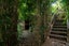 1581 State Highway 30, Rotoiti Forest, Rotorua - Carousel 29