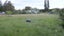 115 Smithfield Road, Elgin, Ashburton - Carousel 4