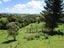 263 FISHER-RILEY Road, Kaitaia, KAITAIA - Carousel 7