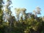 35 Mokihinui Preserve, Seddonville, Westport - Carousel 5
