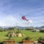 296 State Highway 1, Picton - Carousel 6