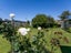 40 Balliol Avenue, Pirimai, Napier - Carousel 12