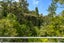 223 Godley Road, Titirangi, Auckland - Carousel 7