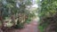 0 Whatuwhiwhi Road, Karikari Peninsula - Carousel 5