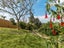 36 Sunny Brae Crescent, Westmere, Auckland - Carousel 3