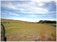 0 Hickford Road, Foxton, Foxton - Carousel 6