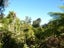 35 Mokihinui Preserve, Seddonville, Westport - Carousel 26