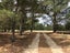 0 Hillview Road, Alexandra, Alexandra - Carousel 6
