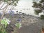 78E Greenslade Road, Raglan, Raglan - Carousel 23