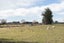 70 Edmunds Road, Ohoka, Clarkville - Carousel 28