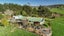 647 Grove Road, Karamu, Hamilton - Carousel 16